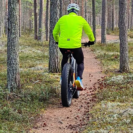 Villa Luxury Joutsenranta By The Himos