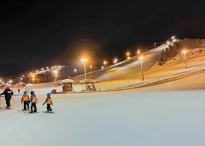 Luxury Joutsenranta By The Villa *